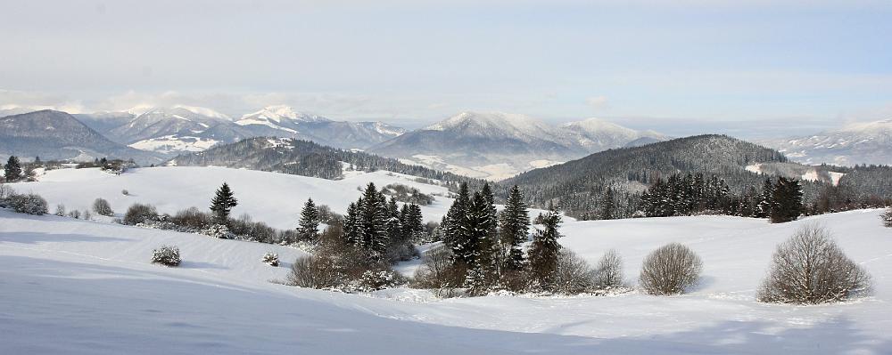 IMG_1820.jpg