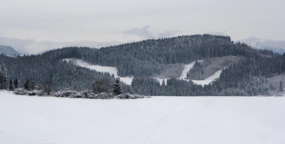 IMG_1950.jpg