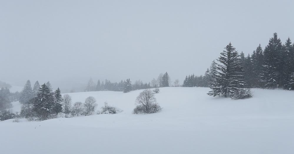 IMG_5830.JPG